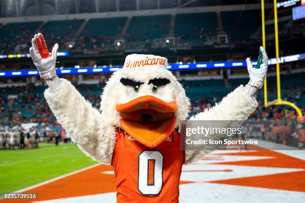 Miami mascot Sebastian the Ibis signals a touchdown during the college football game between the Virginia Cavaliers and the University of Miami...