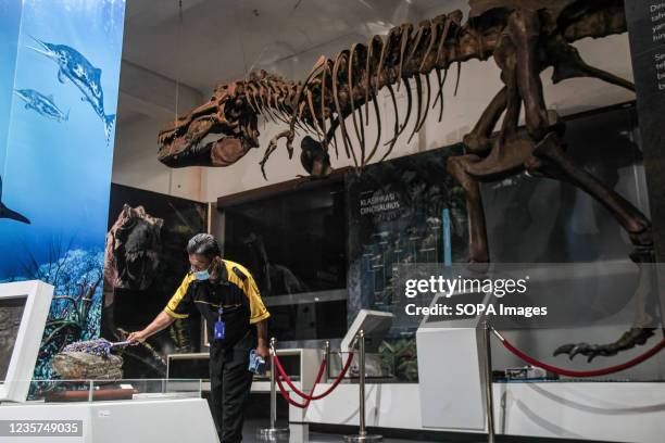 Worker cleans a display of an ancient animal bone replica at Bandung Geological Museum . The Bandung City Government provides relaxation as it...