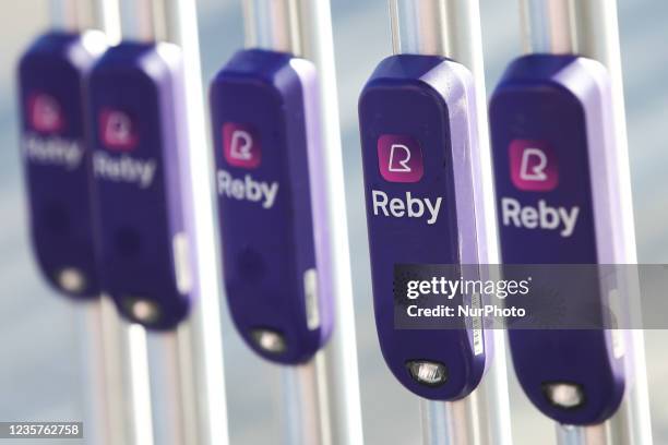 Reby Photos and Premium High Res Pictures - Getty Images