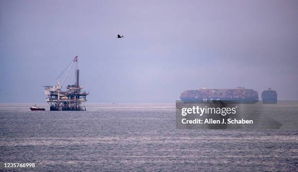 Huntington Beach, CA A pelican flies over the Pacific Ocean with a view of Oil Rig platform Esther and large container ships anchored off the coast...