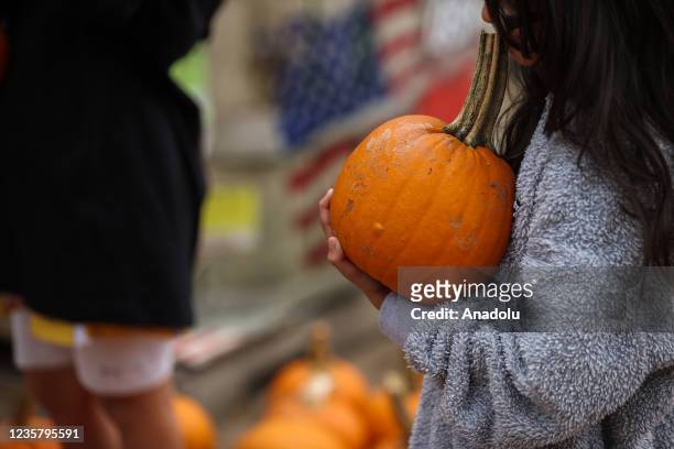 People enjoy during picking pumpkins at the Wardâs Farm in Ridgewood of New Jersey, United States on October 9, 2021.