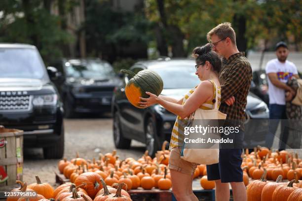 People enjoy during picking pumpkins at the Wardâs Farm in Ridgewood of New Jersey, United States on October 9, 2021.