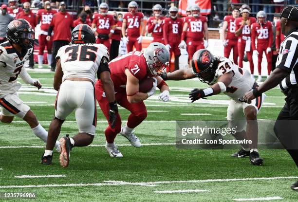 Washington State running back Max Borghi prepares to take on Oregon State linebacker Omar Speights and linebacker Avery Roberts during the game...