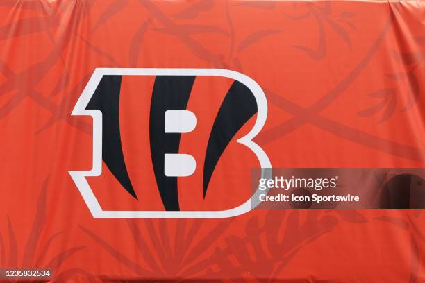 263 Cincinnati Bengals Logo Stock Photos, High-Res Pictures, and Images -  Getty Images