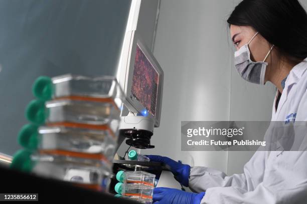 Researcher works in a lab at a pharmaceutical in Wuhan in central China&#039;s Hubei province Tuesday, Oct. 12, 2021.