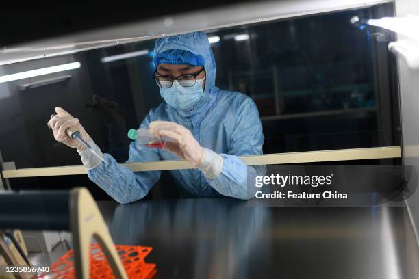 Researcher works in a lab at a pharmaceutical in Wuhan in central China&#039;s Hubei province Tuesday, Oct. 12, 2021.