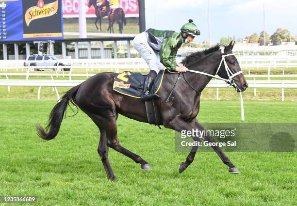 Hinged ridden by Damian Lane on the way to the barriers prior to the running of the Schweppes Thousand Guineas at Caulfield Racecourse on October 13,...