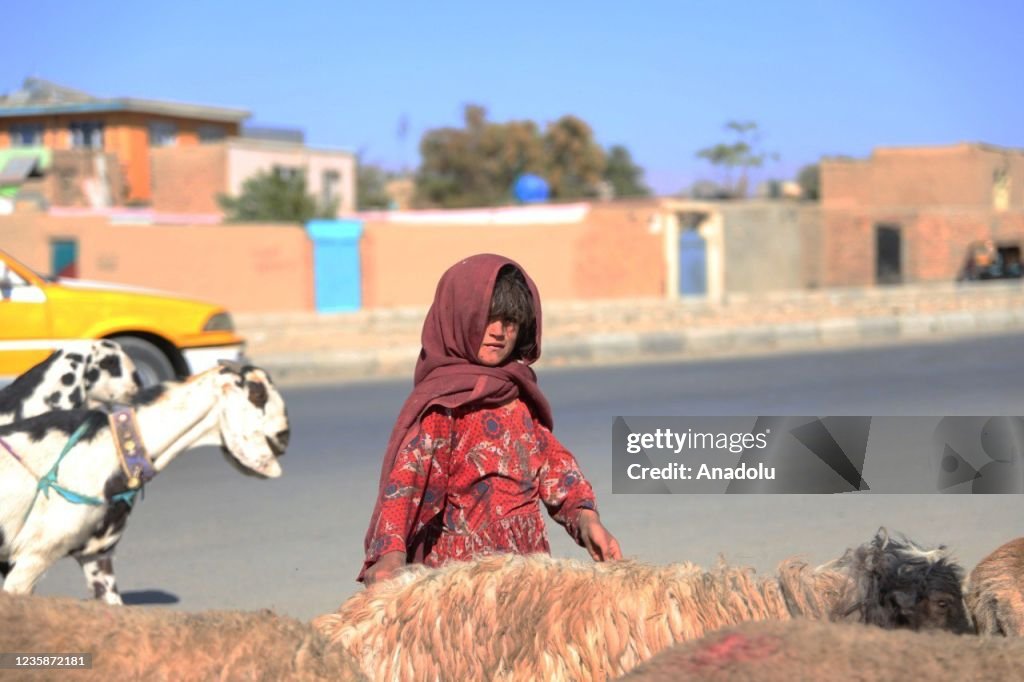 Drought in Afghanistan increased poverty in rural areas