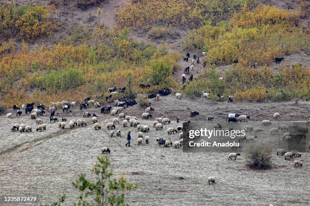 View from Turkey's eastern province of Mus on October 13, 2021. In the city, a riot of colors is experienced in nature with the autumn season. The...