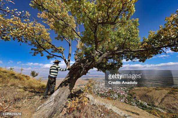 View from Turkey's eastern province of Mus on October 13, 2021. In the city, a riot of colors is experienced in nature with the autumn season. The...