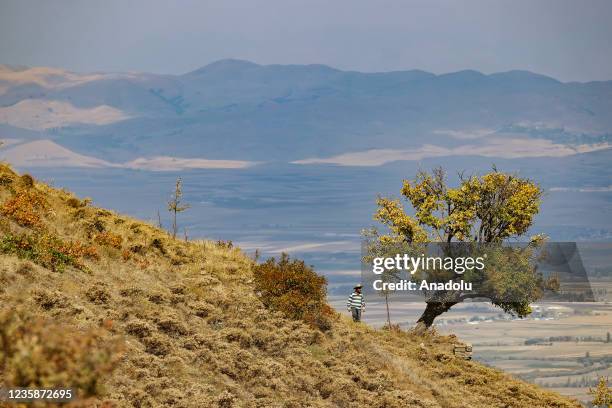 View from Turkey's eastern province of Mus on October 13, 2021. In the city, a riot of colors is experienced in nature with the autumn season. The...