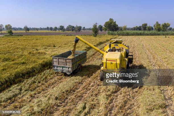 Combine harvester unloads paddy into a tractor trolley during a harvest in a field in Rajoa Sadat village in Chiniot district, Punjab, Pakistan, on...
