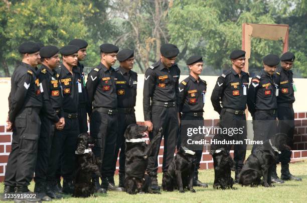 4,042 Indian Commandos Stock Photos, High-Res Pictures, and Images ...