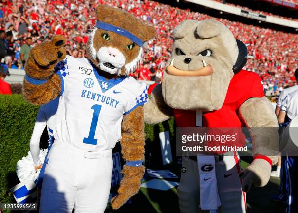 Wildcat of the Kentucky Wildcats and Hairy Dawg of the Georgia Bulldogs stand on the sidelines in the second half at Sanford Stadium on October 16,...