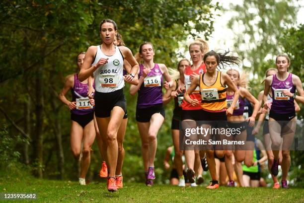 80 Sligo Ac Stock Photos, HighRes Pictures, and Images Getty Images