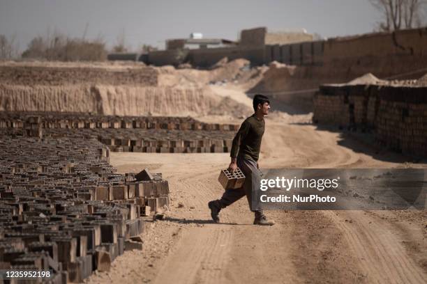 An Afghan refugee labor carries newly bricks to pile up after removing them from a kiln in a brick factory, in the Borkhar area in the west of the...