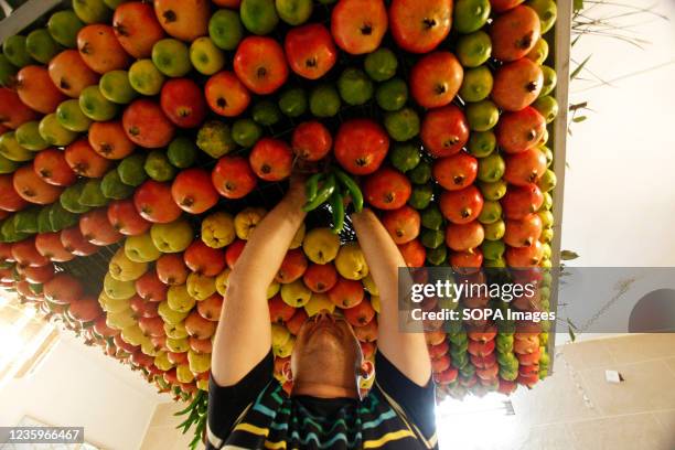 Member of the Samaritan community decorates with fruits and vegetables a traditional hut known as a sukkah, which is a ritual hut used during the...