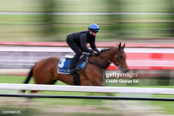 Jockey Craig Williams during Breakfast With The Best at Moonee Valley Racecourse on October 19, 2021 in Moonee Ponds, Australia.