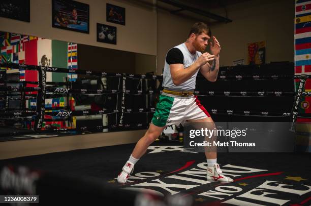 Canelo Build 458 Saul Canelo Alvarez Workouts Stock Photos, High-Res Pictures, and ...