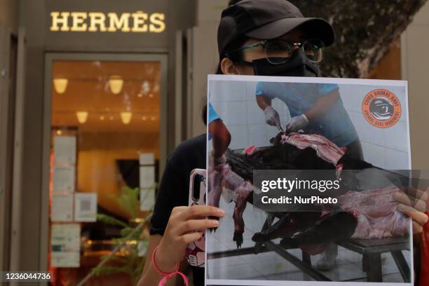 Activists from the organisation Animal Save Movement Mexico, hold signs while demonstrating outside the luxury shop Hermès, located in Polanco,...