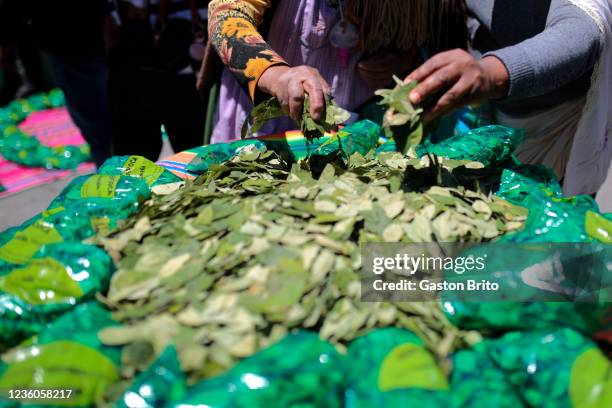 People get coca leaves from a table during the celebration of the day of 'Acullico' at Plaza de San Francisco on October 22, 2021 in La Paz, Bolivia....