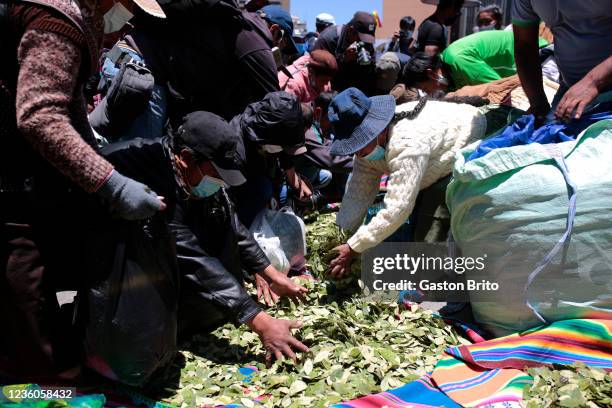 People try to get coca leaves from the floor during the celebration of the day of 'Acullico' at Plaza de San Francisco on October 22, 2021 in La Paz,...