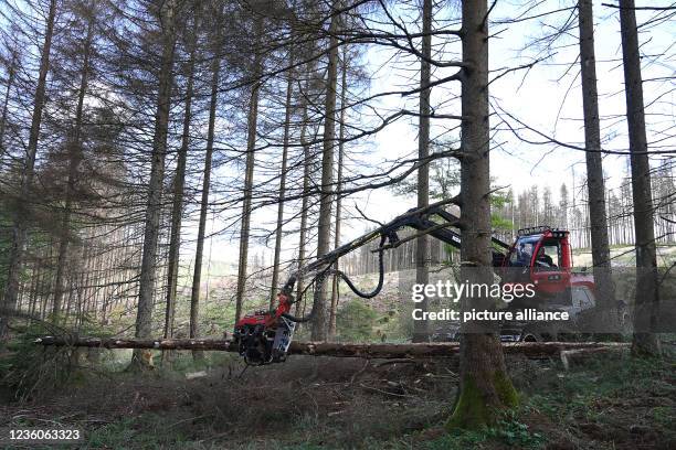 Deforestation Machine Photos and Premium High Res Pictures - Getty Images