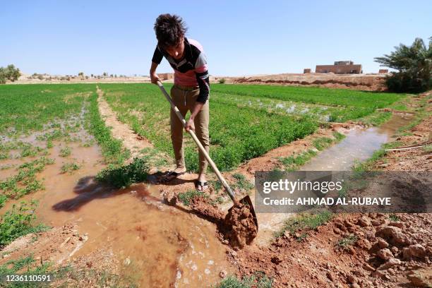 Iraq Farms Rivers 45,099 Iraq Country Stock Photos, High-Res Pictures, and Images - Getty ...
