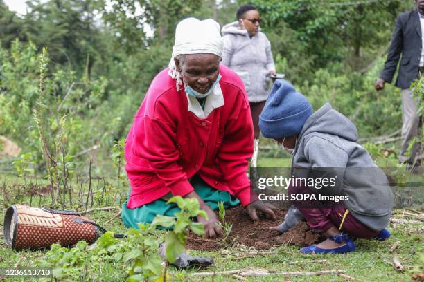 An elderly woman and a boy plant tree seedlings at a deforested area inside Mau Forest. As a measure to mitigate the impacts of climate change, the...