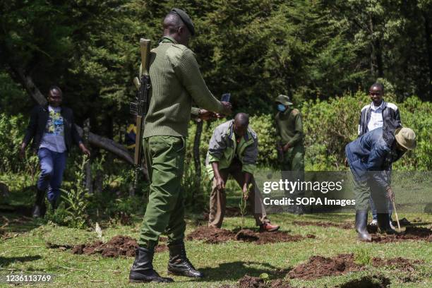 Kenya forest service ranger uses his phone to take pictures of his colleague and a member of the community as they plant tree seedlings at a...