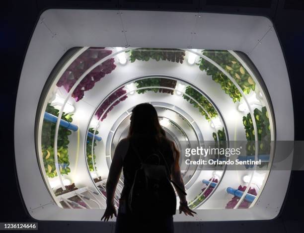 Guest studies the hydroponic &quot;Grow Zone&quot; of leafy vegetables at Space 220, the space-themed restaurant at Epcot, at Walt Disney World in...