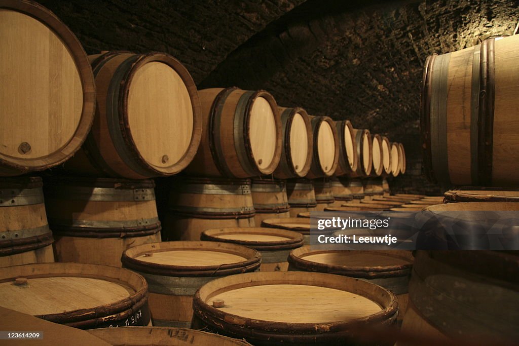 Cave dans des fûts de chêne