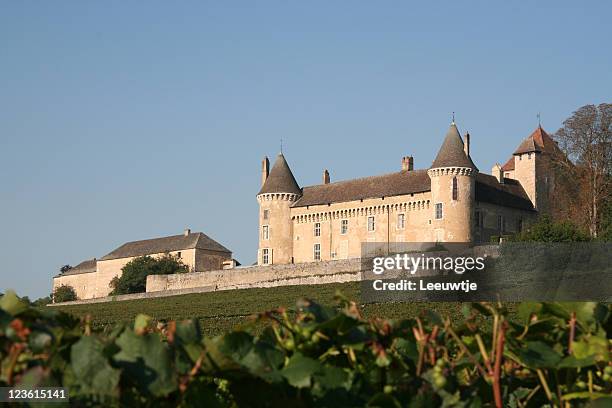 schloss saint-germain en laye burgund, frankreich - castle france stock-fotos und bilder