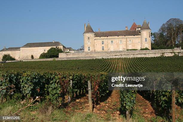 château de rully bourgogne france - vignes bourgogne photos et images de collection