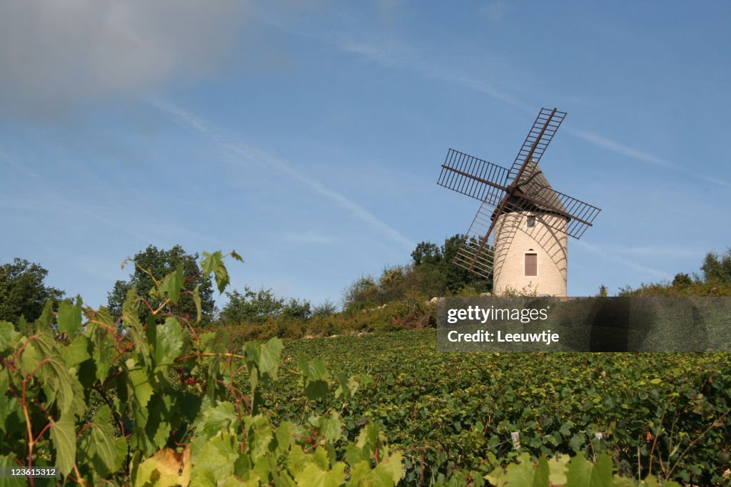 Windmill in French vineyard burgundy