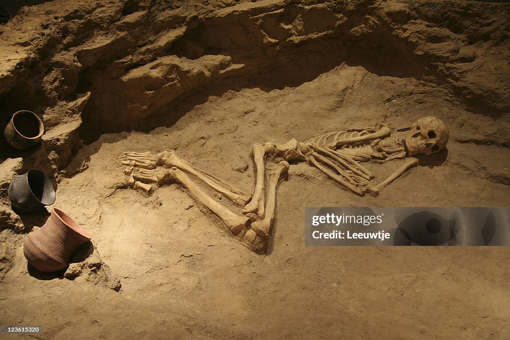 Skeleton bones in grave