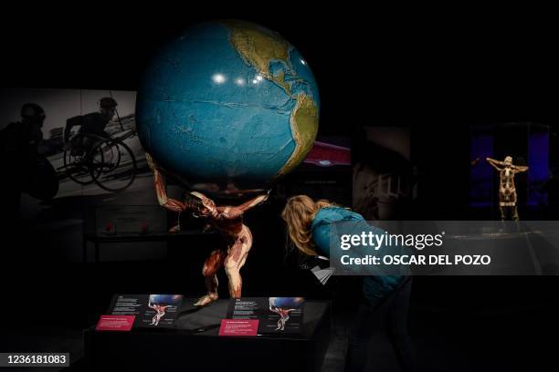 Visitor looks at pieces part of the exhibition "Body Worlds, el ritmo de la vida" by German anatomist Gunther von Hagens, which focuses on how life...