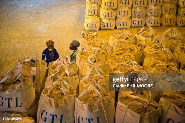 Congolese workers stand beside bags of a mixture of cobalt and copper at the STL processing plant during a maintenance day on December 1, 2011. The...