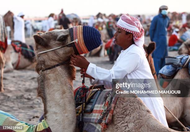 Young Omani boy is pictured with race camels during a camel festival in Al-Fulaij, in the region of Barka, about 90 kms north of the capital Muscat,...