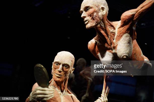 Mirror the times specimens seen during the exhibition. "Body Worlds, the rhythm of life" exhibition by the German anatomist Gunther von Hagens, which...