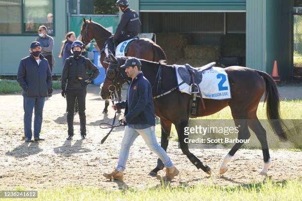 Trainer Tony Noonan talks with jockey Craig Williams as Spanish Mission walks past during trackwork at Werribee Racecourse on October 31, 2021 in...