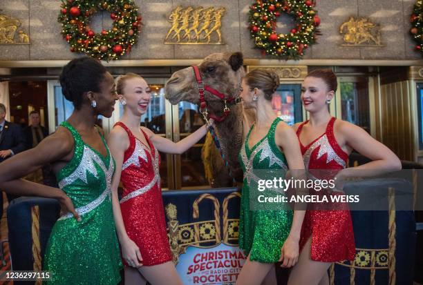 Radio City Rockettes welcome camels, sheep and donkeys as they return for their featured role in the Living Nativity scene in the 2021 production of...