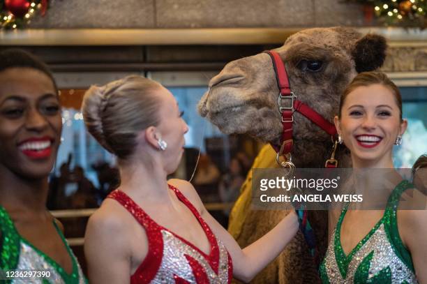 Radio City Rockettes welcome camels, sheep and donkeys as they return for their featured role in the Living Nativity scene in the 2021 production of...