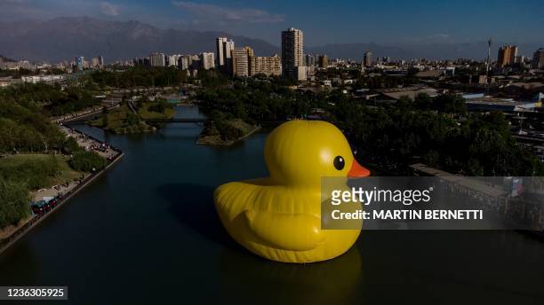 Aerial view of a giant inflatable rubber duck designed by Dutch artist Florentijn Hofman n a lake at the family park in Santiago, November 02, 2021....