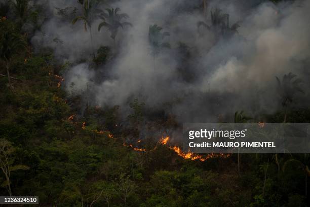Aerial view showing smoke rising from an illegal fire destroying Amazonia rainforest in Porto Velho, Rondonia state, Brazil, on September 15, 2021. -...