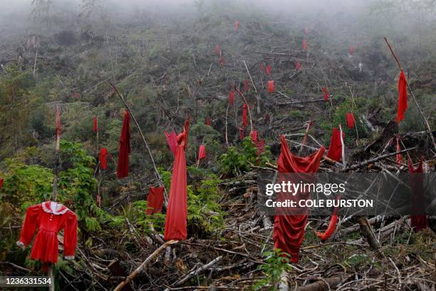 Red dresses, a tribute to indigenous rights and the Missing and Murdered Indigenous Women in Canada, are scattered on a hillside at protest camp for...