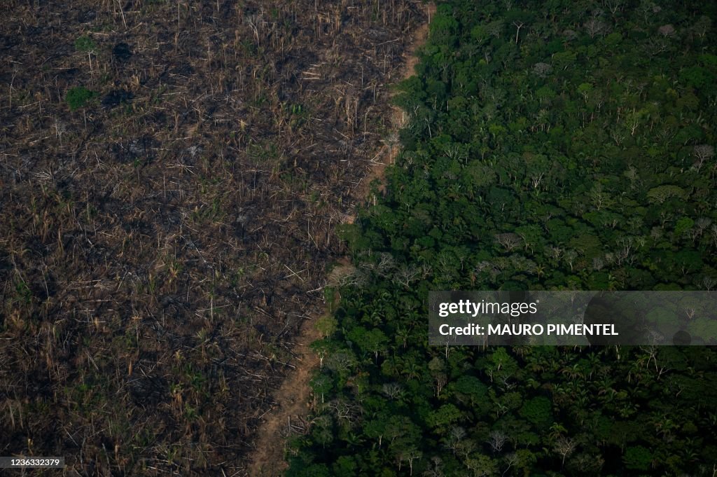 TOPSHOT-BRAZIL-UN-COP26-CLIMATE-AMAZON-PHOTO ESSAY