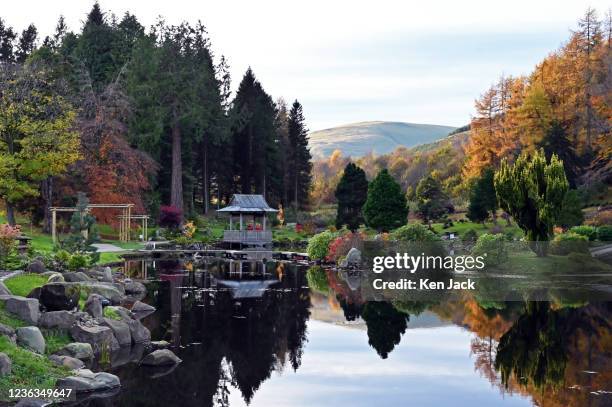 Autumn colours are reflected in the still water of the pond in the Japanese Garden at Cowden, on November 4, 2021 in Dollar, Scotland.
