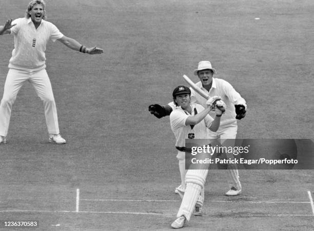 Greig Ritchie 183 Greg Ritchie Stock Photos, High-Res Pictures, and Images - Getty Images