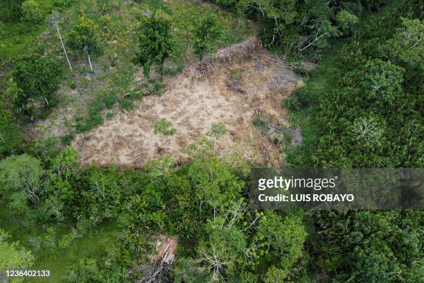 Aerial view of deforested area at the Amazon jungle of Puerto Asis rural area, department of Putumayo, Colombia, on November 6 in the framework of...